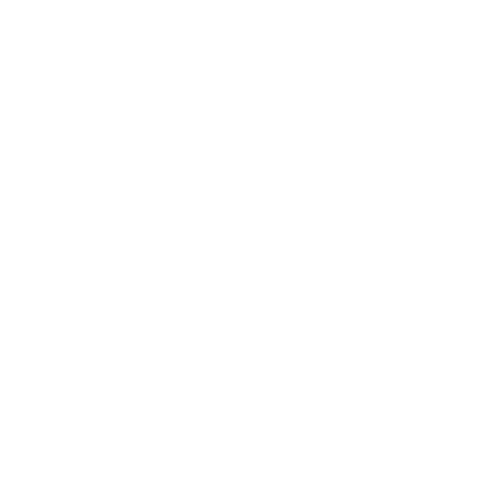 LIVELY HOTELS